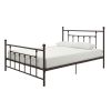 Queen Metal Platform Bed Frame with Headboard and Footboard in Bronze Finish